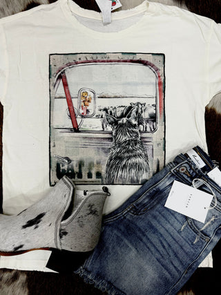 The Hearding Cattle Heeler Graphic Tee by Western Edge Boutique, featuring a playful design of a dog gazing out a car window, is stylishly matched with gray ankle boots and denim shorts. This ensemble is expertly displayed on a furry surface, with tags still attached to the shorts and boots, adding an element of freshness to this casual rancher's outfit.